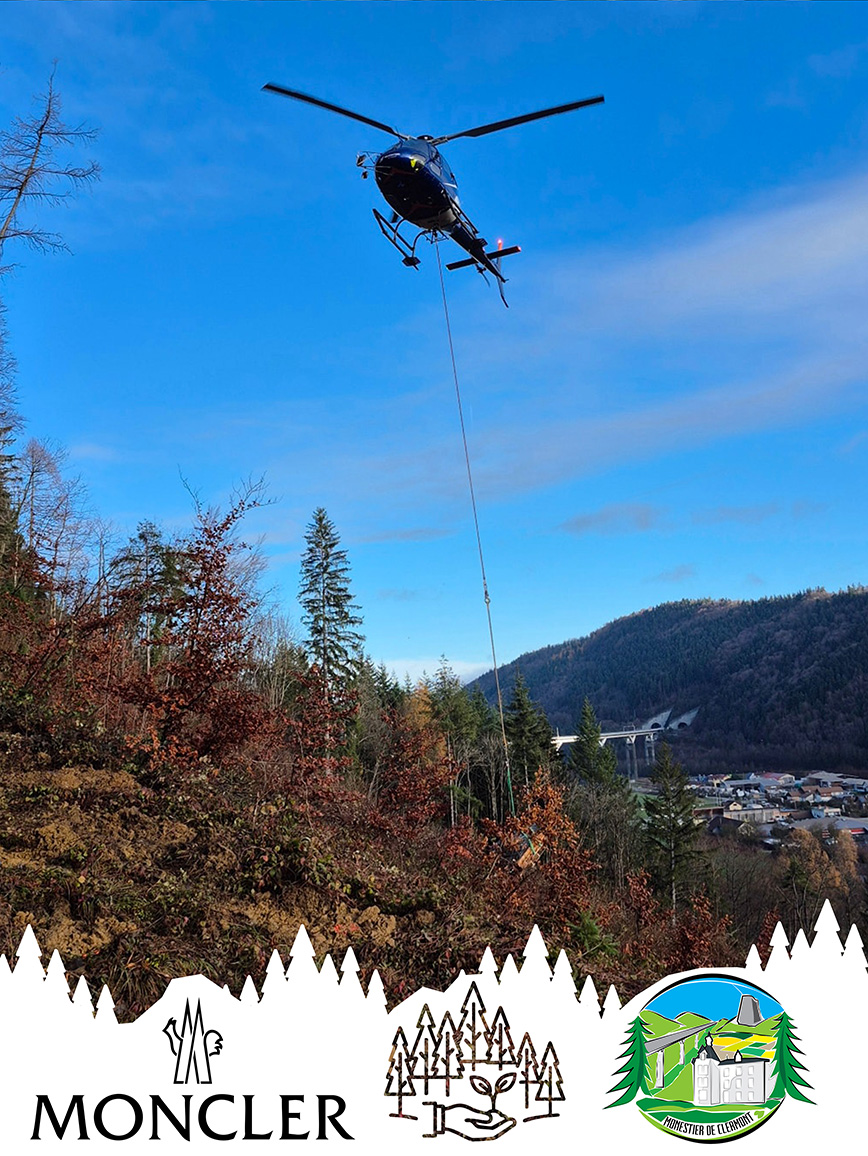 Reboisement, une belle étape franchie !